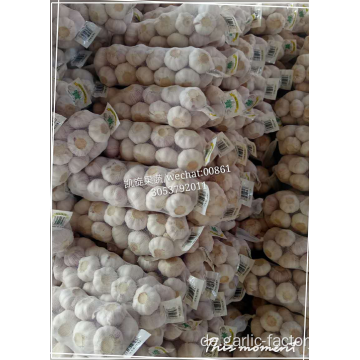 SUPER GARLIC 250G MESH BAG POPULAR